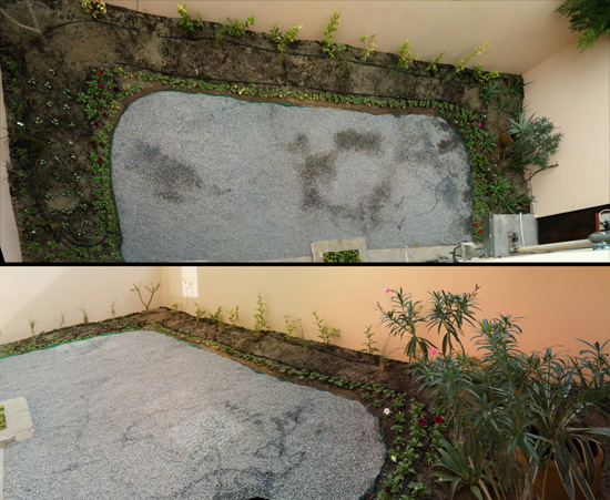 Masadir Media's back garden