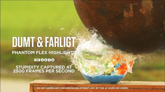 Stupidity captured at 2,500 frames per second