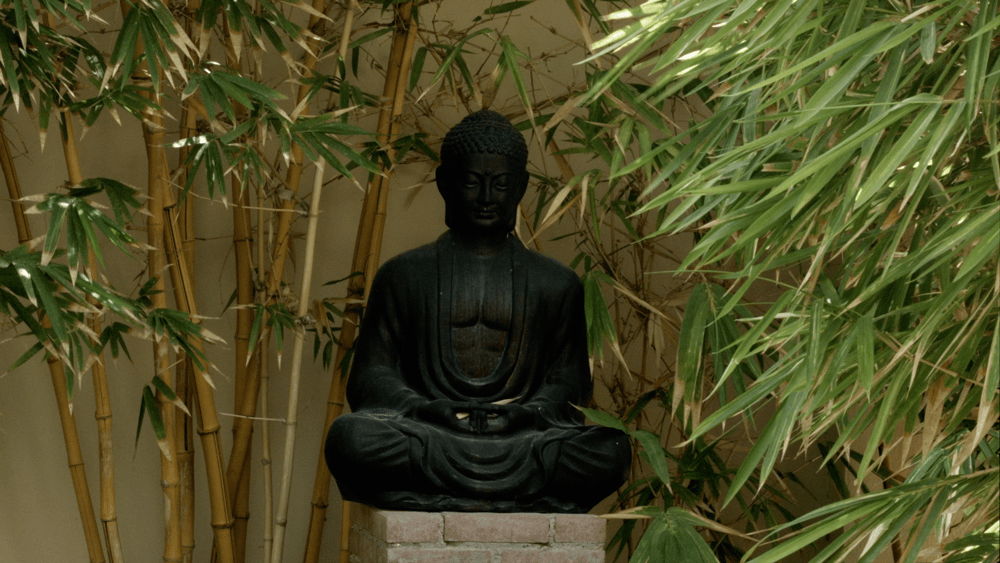 Giving the Blackmagic Pocket Cinema Camera a whirl